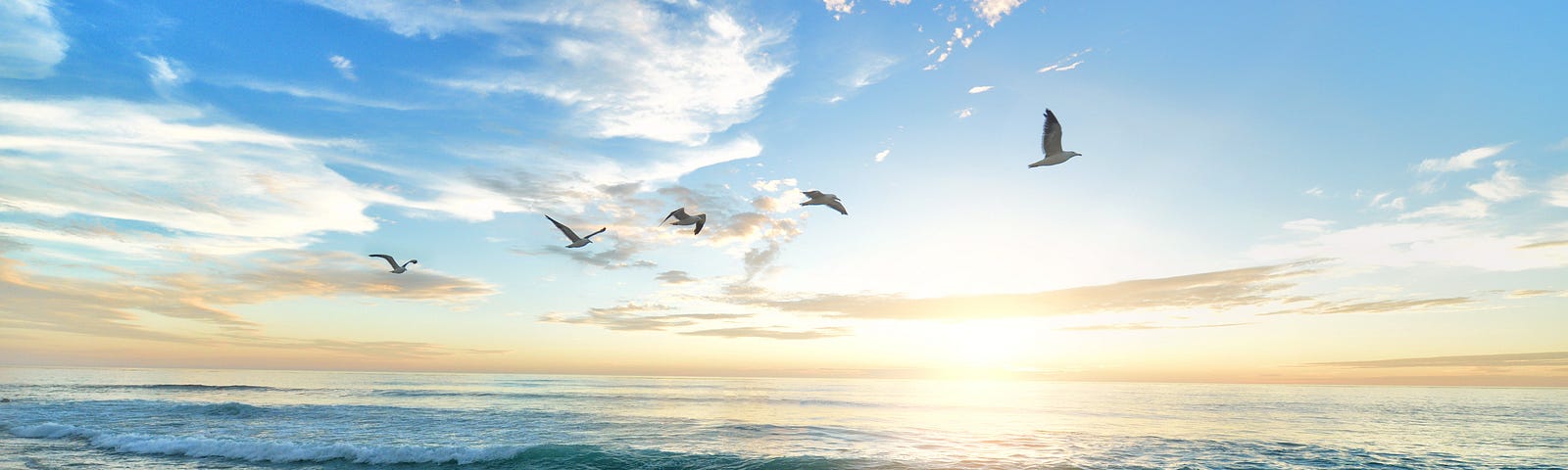 Five seagulls fly over the breaking waves at a beautiful beach. The sun is about to set on the horizon.