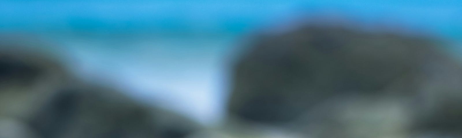 A leaf stands up on the beach, with rocks and the ocean in the background.