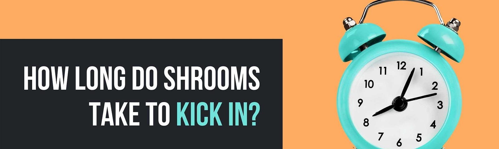 How long do shrooms take to kick in? With a big blue clock