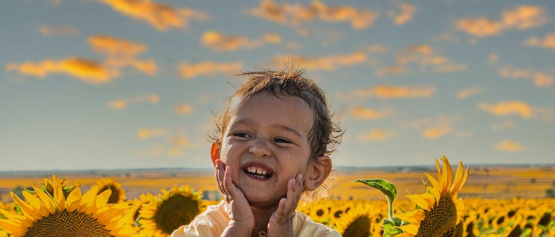 A happy child sitting in the middle of a sunflower field under twilight.