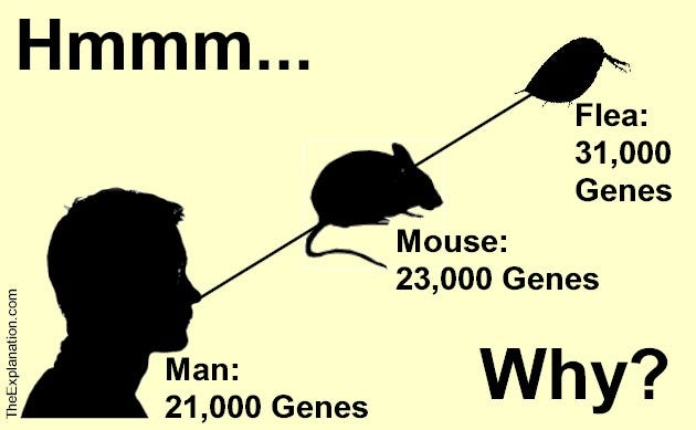 Man has about 21,000 genes, a mouse has 23,000 and a water flea has 31,000 genes the most of any animal. How can this be?