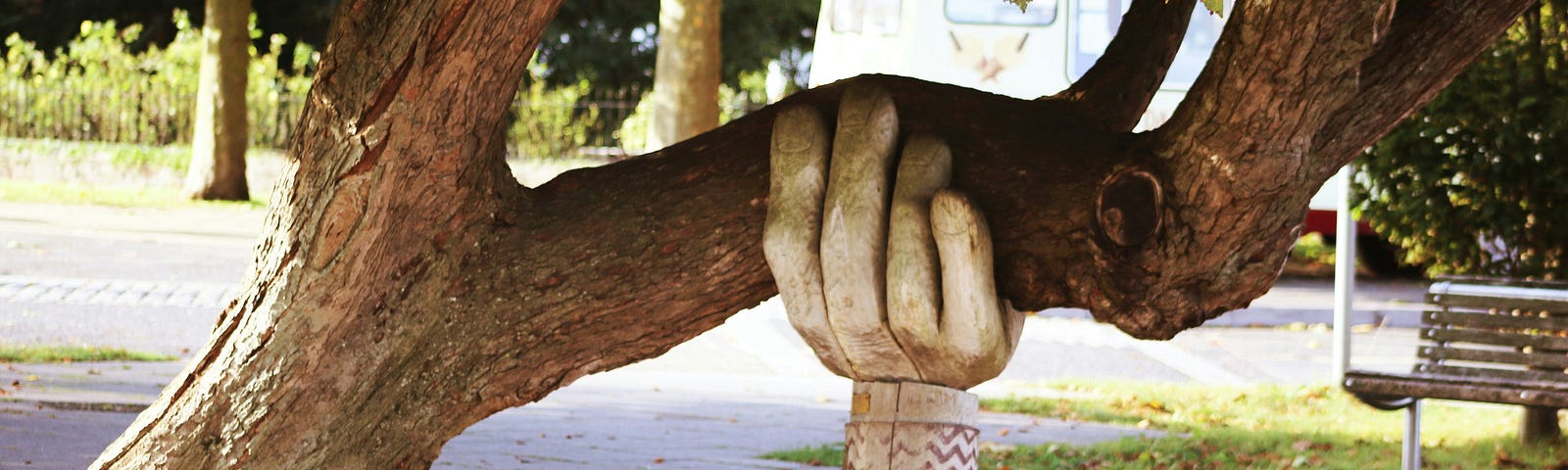 A wooden large hand holds on to the bough of a tree.