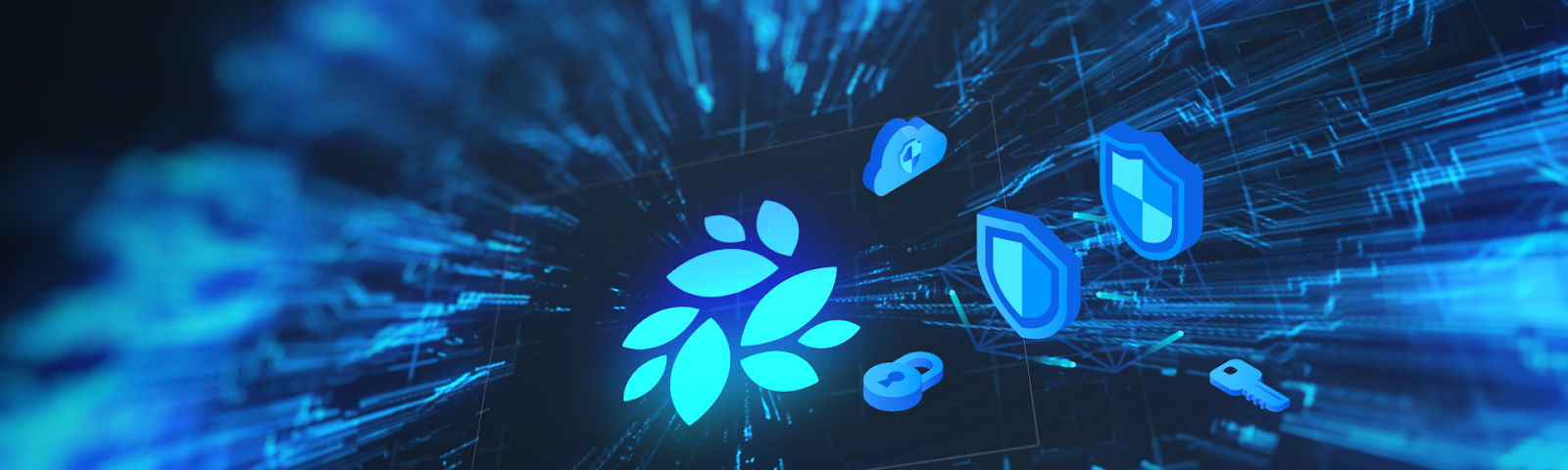 NKN successfully completes security audit