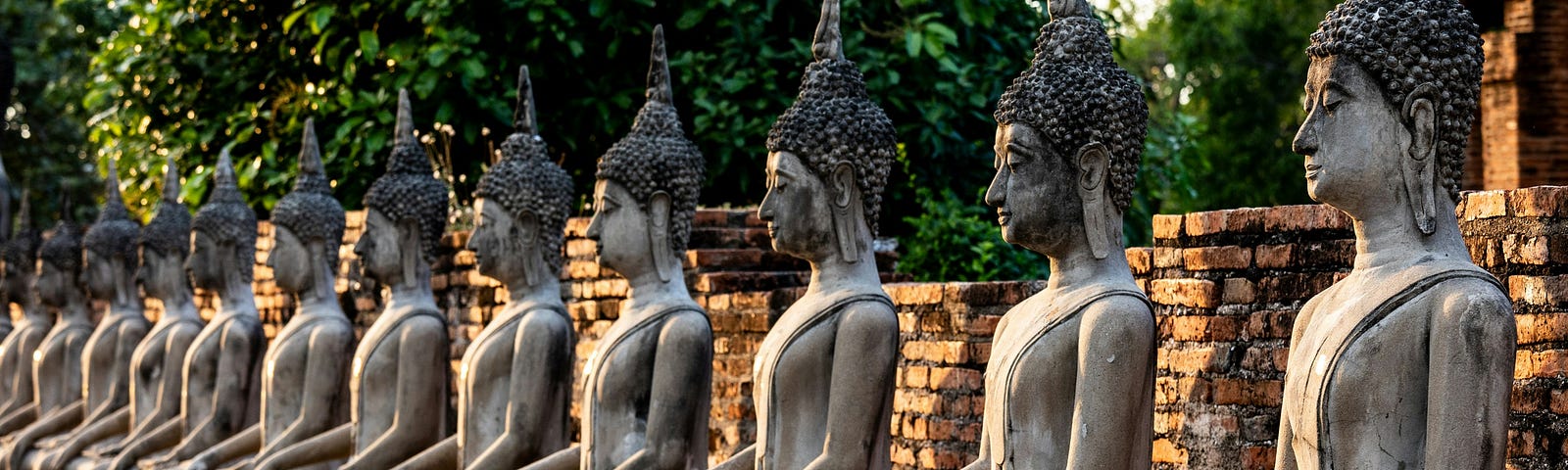 A row of Buddha statues in lotus posture exemplifying the endless approaches to the meditation practices.