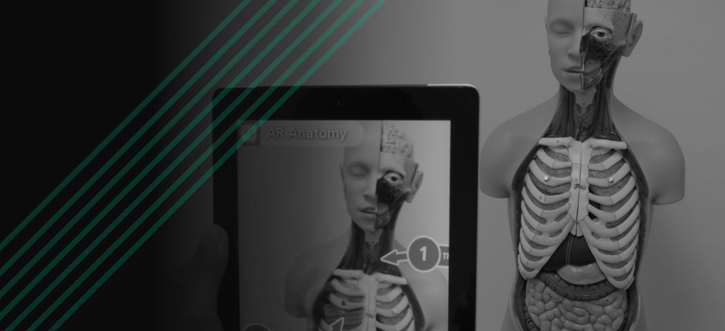 Person holding a tablet pointed at a medical training statue of a human with their internal organs expose. On the tablet, an augmented reality (AR) application is showing organ names in relation to the training statue. On the left side is the Kontor logo and a green Kontor watermark.