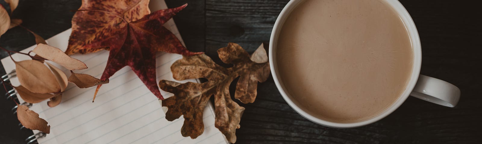 A cup of coffee, a lined spiral-bound notebook, and a handful of dry autumn-red leaves.