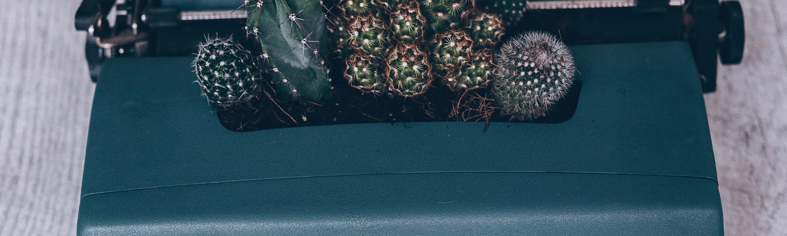 Manual typewriter with succulents planted in it.