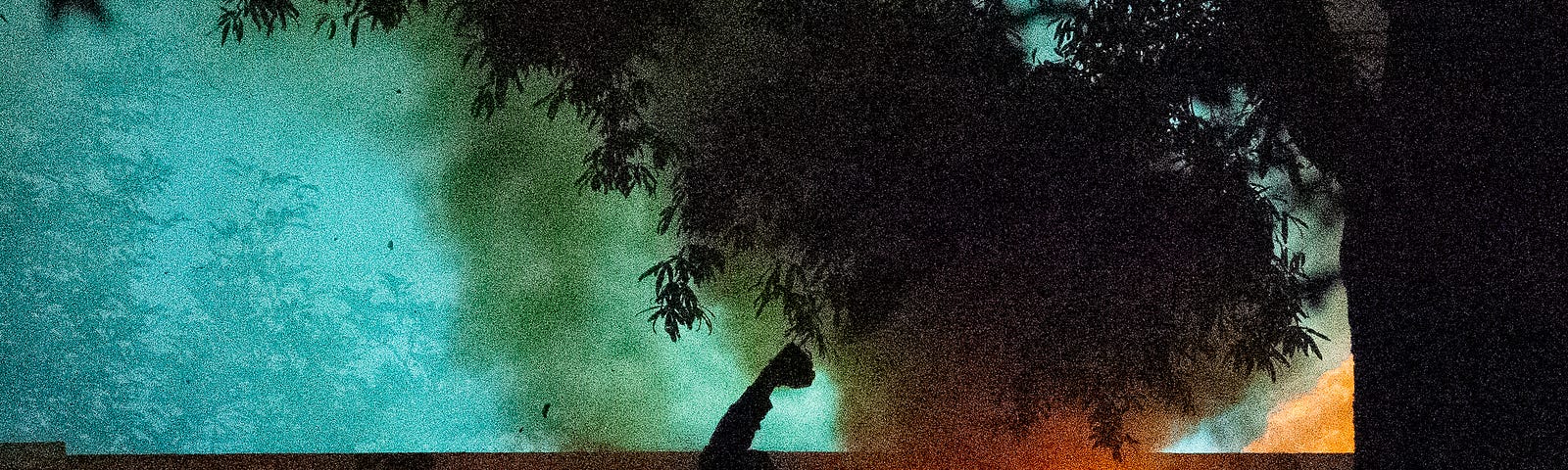 House on fire at night, a silouette of someone in front of the house with fist in the air. A large tree is in the foreground.