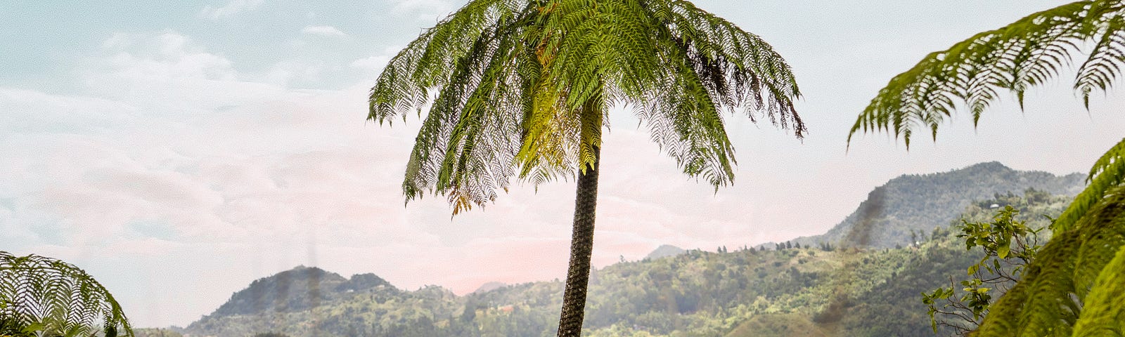 Panguna Jungle on Bougainville Island, PNG