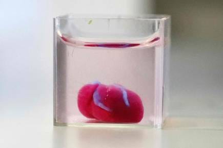 WORLD’S FIRST 3D PRINTED HEART