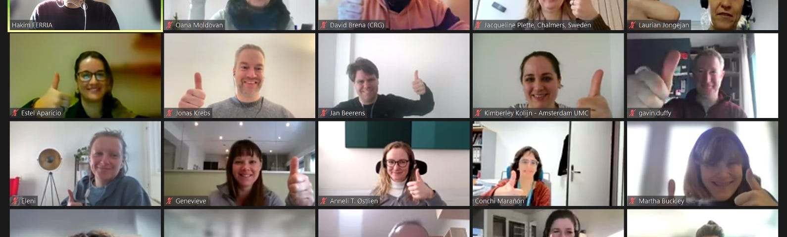 Screenshots from one of the last Zoom meeting of the working group