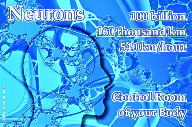 Your 100 billion neurons and axon extensions measure 160k km, communicate millions of signals simultaneously and continually.