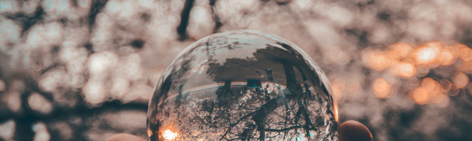 hand holding a crystal bowl reflecting the nature