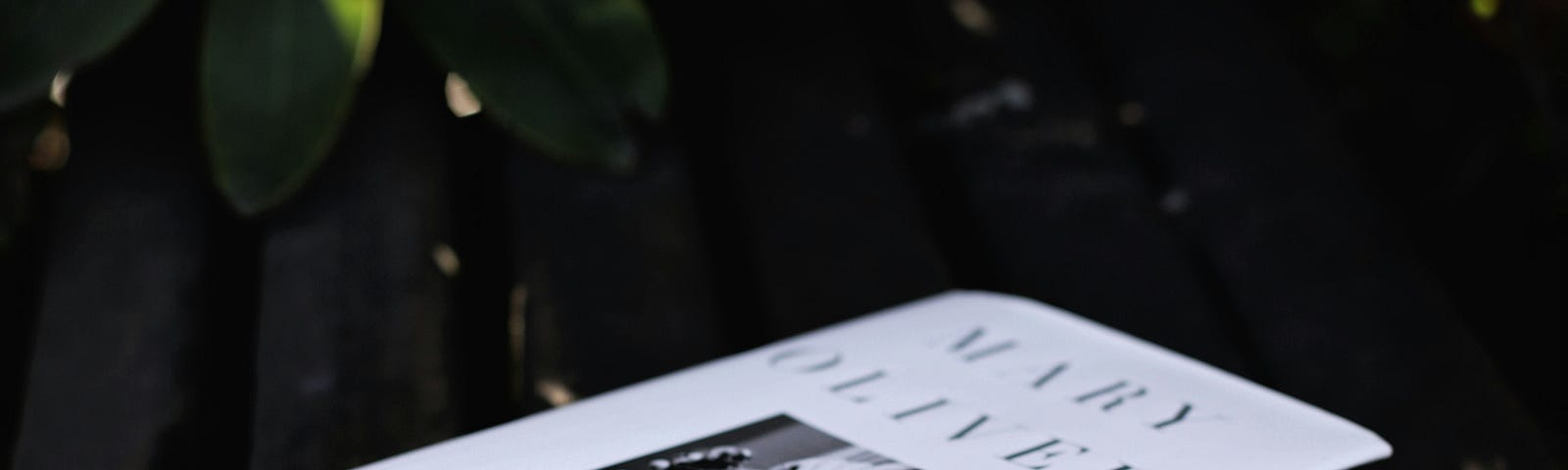 A white book of poems with actual flower bookmarks.