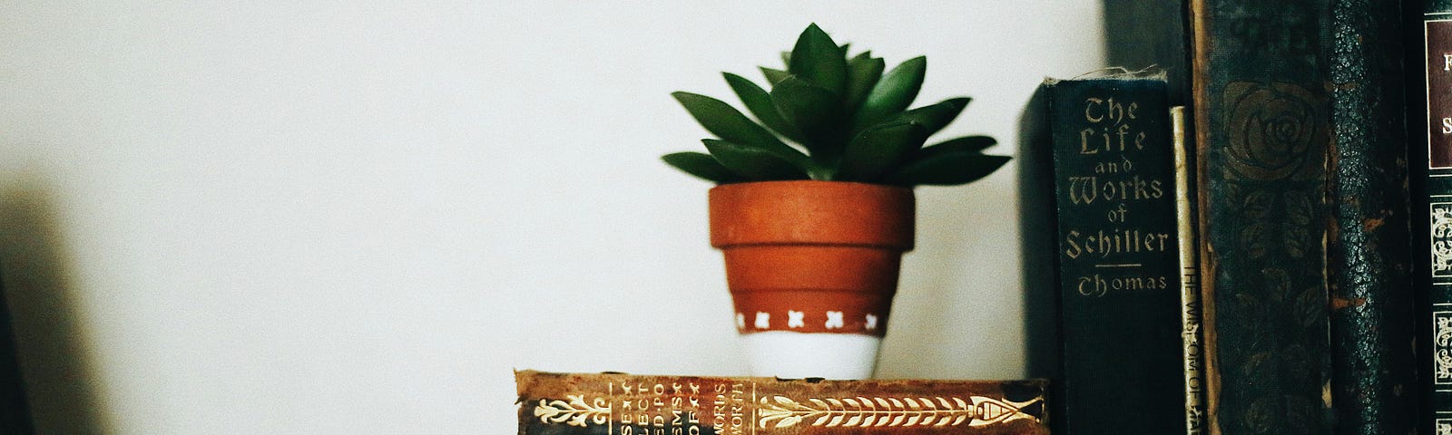 Books stacked on a shelf with a small potted plant.