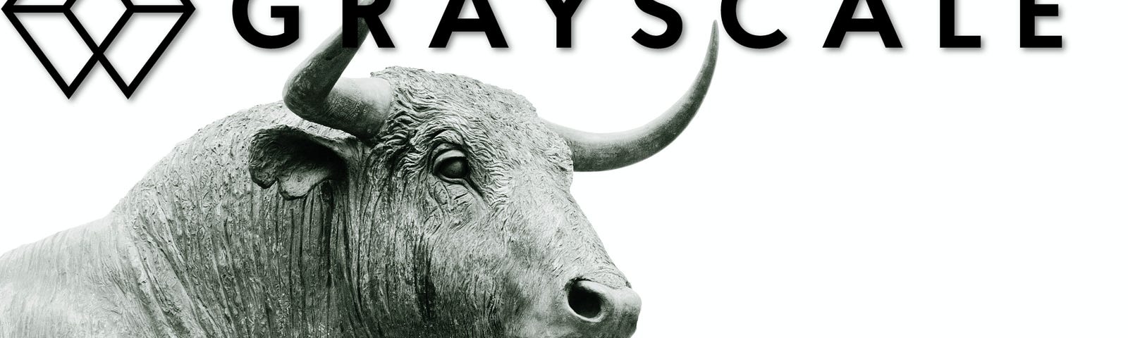 Image of a bull in grayscale format