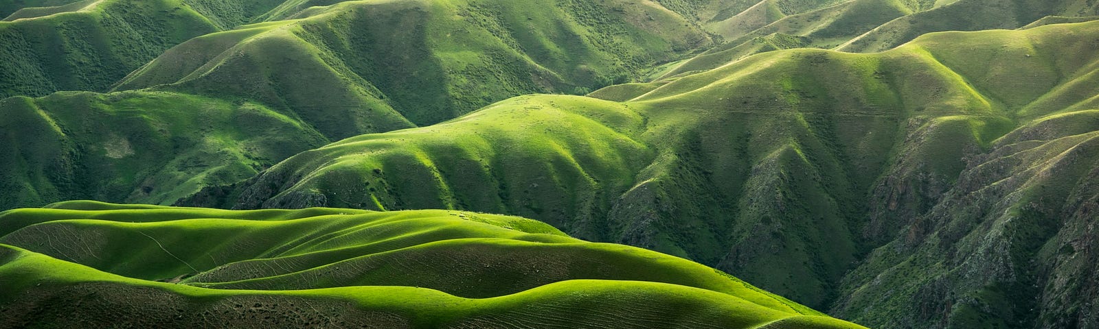 Green mountainous landscape