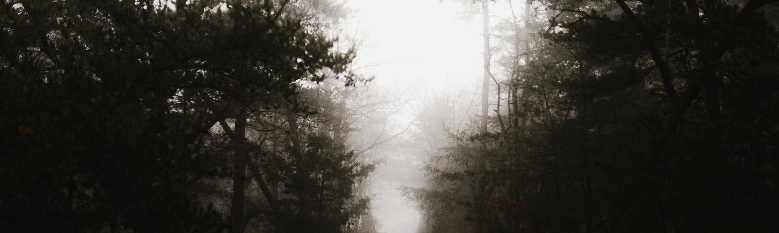 A foggy and spooky road that is abandoned