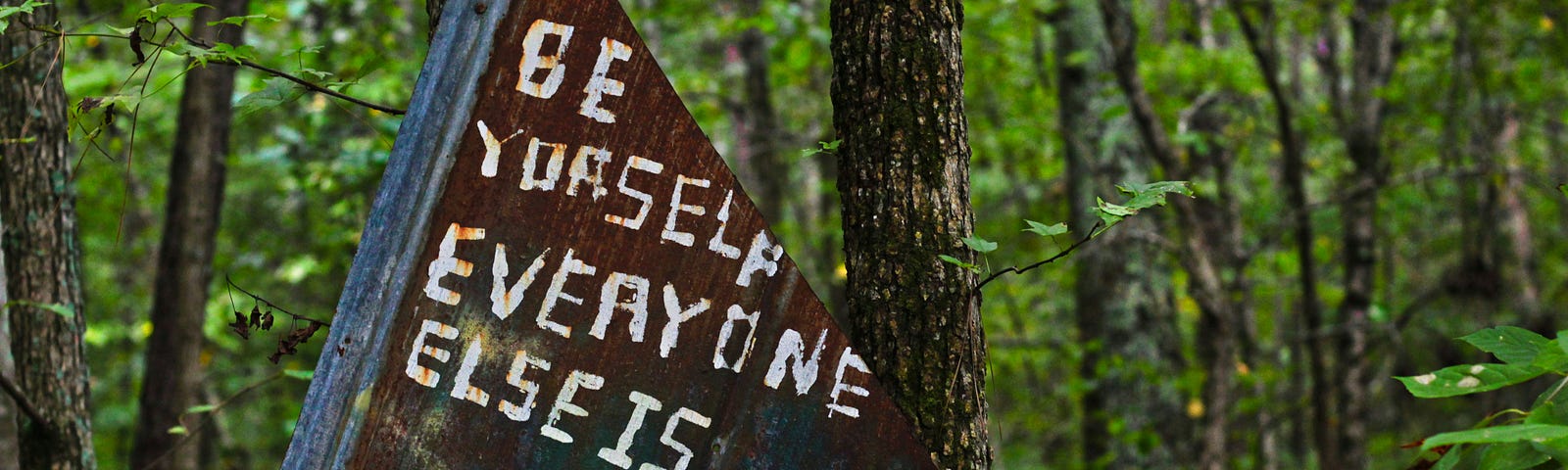 A sign in the woods of the famous Oscar Wilde Quote of “Be Yourself, Everyone Else Is Taken”