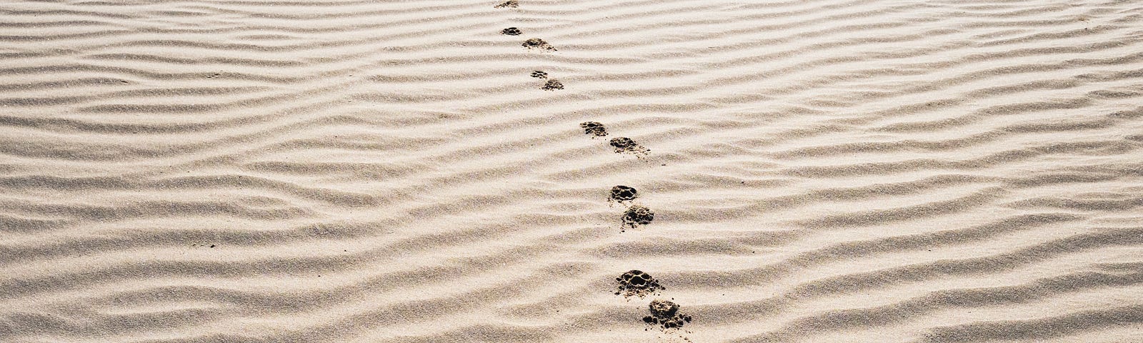 A line of footsteps marks a field of sand (with ridges).A Mediterranean-style diet is associated with benefits similar to walking 4,000 extra steps daily. This article explores the diet that earns you 4,000 steps. A new study provides some of the best evidence supporting the contention that better diets may lead to higher fitness levels.