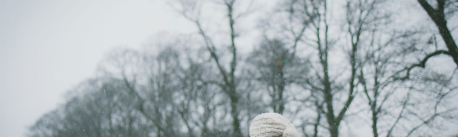 Shot from behind of a woman in a dark winter coat and white pom-pom beanie walking past a line of leafless trees. Snowy atmosphere. Grey skies.