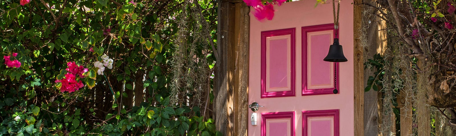 Pink door surrounded by Bougainvillea