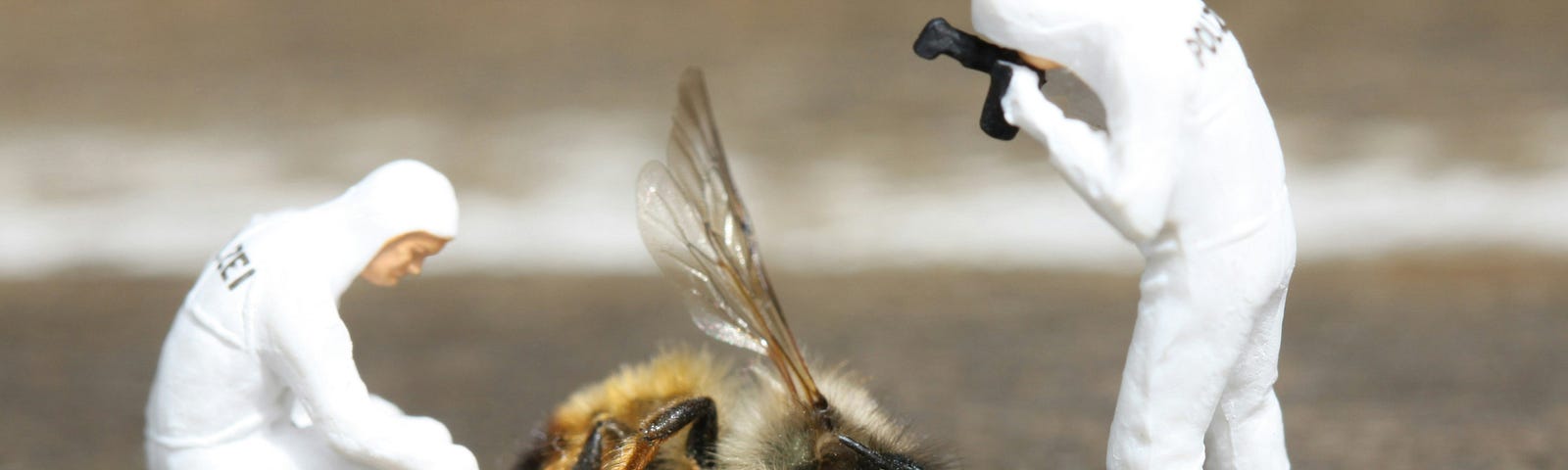 Two miniature plastic CSI figures are posed with a dead bee