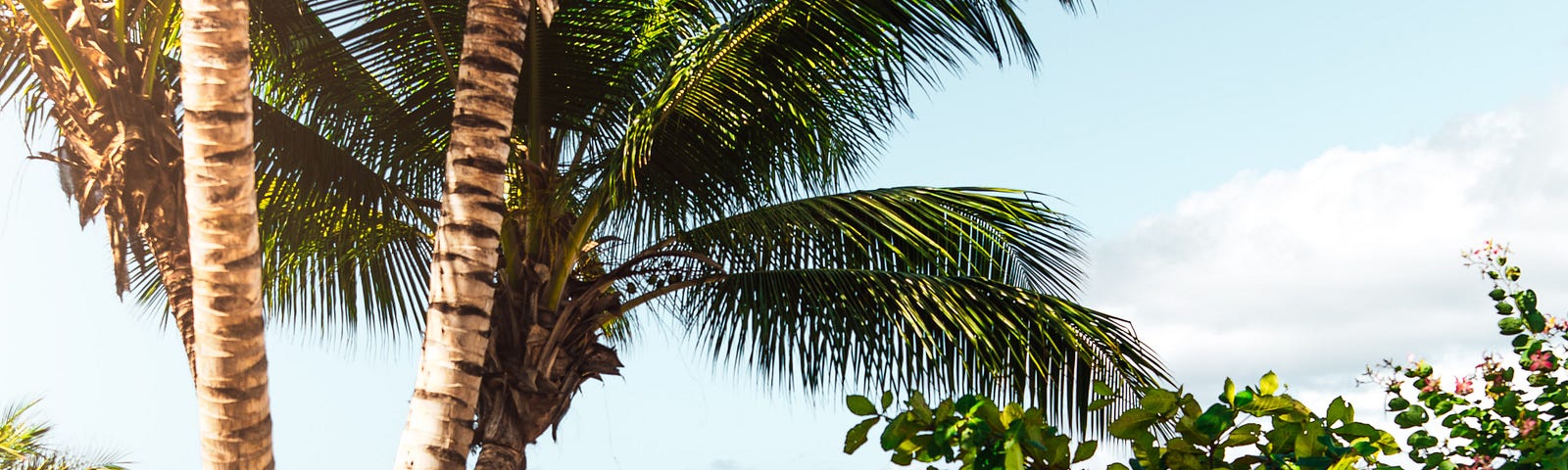 An island in Jamaica