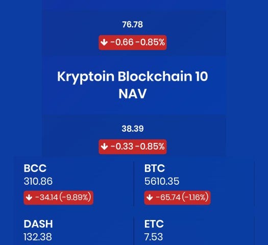 Kryptoin ETFs 10:30AM EST snapshot