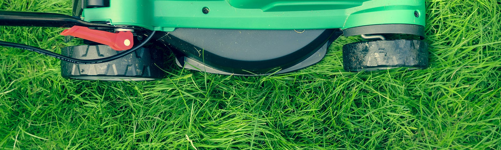 pushmower cutting grass