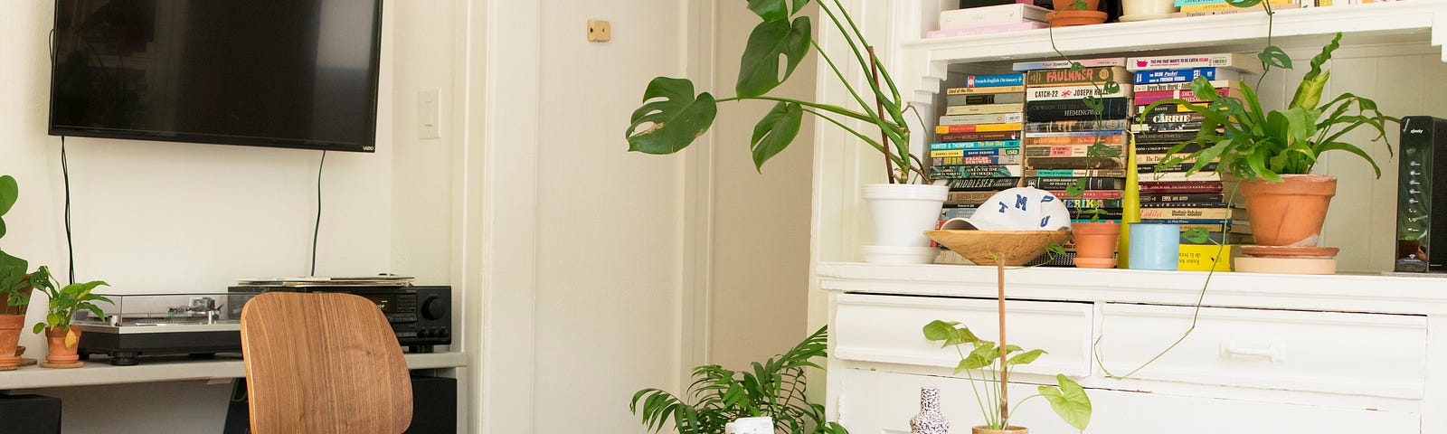 a nicely decorated living room with TV and books and plants