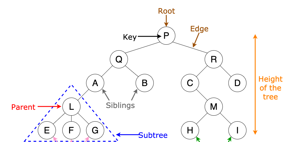 60 Tree Data Structure Coding Interview Questions Every Programmer Should Solve