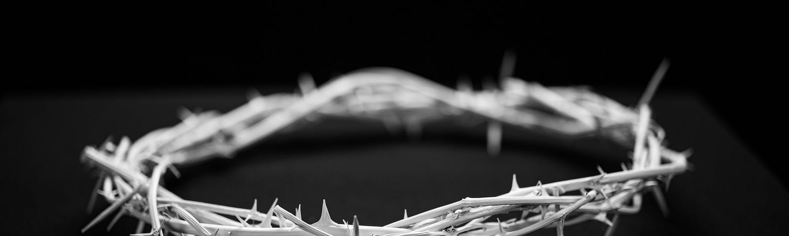 thin twigs formed in a circle with some prickly needles against a black background