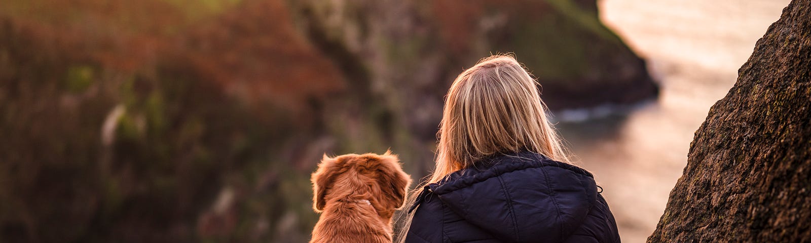A woman (on the right) sits with her medium-sized brown dog on the edge of a small mountain. We see them from behind as they peer over a rock outcropping and the ocean. Walking a dog is an exercise that can boost your brain.