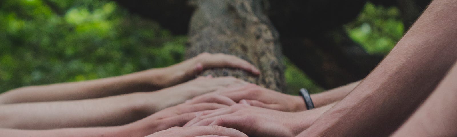 Several pairs of hands lines up on a tree stump