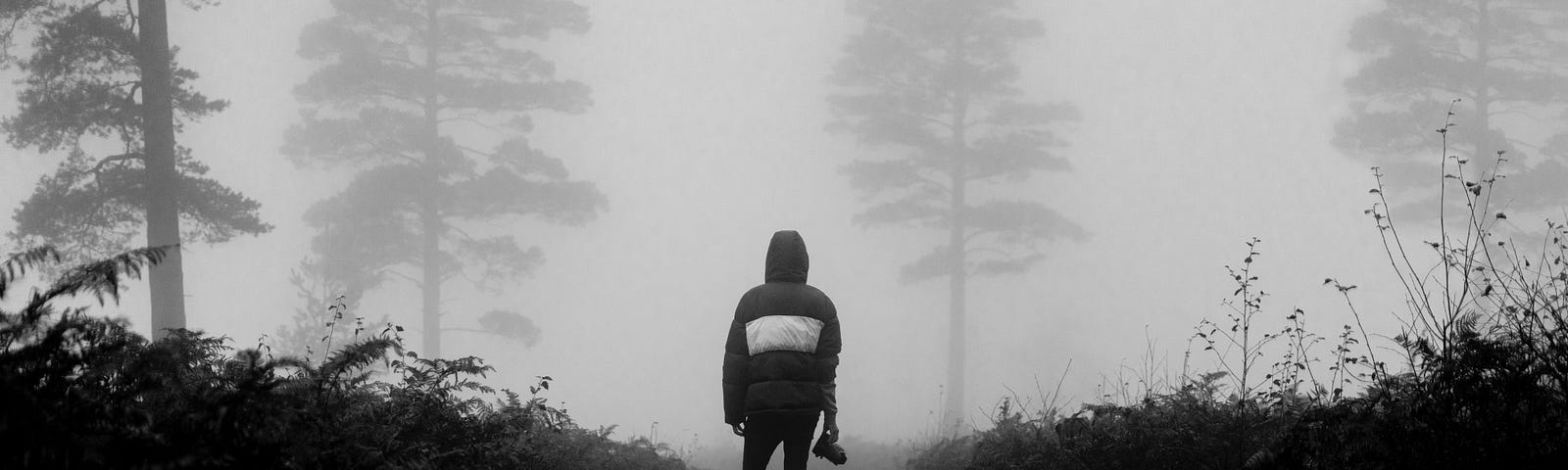 A man walking in a forest with a lot of heavy fog.