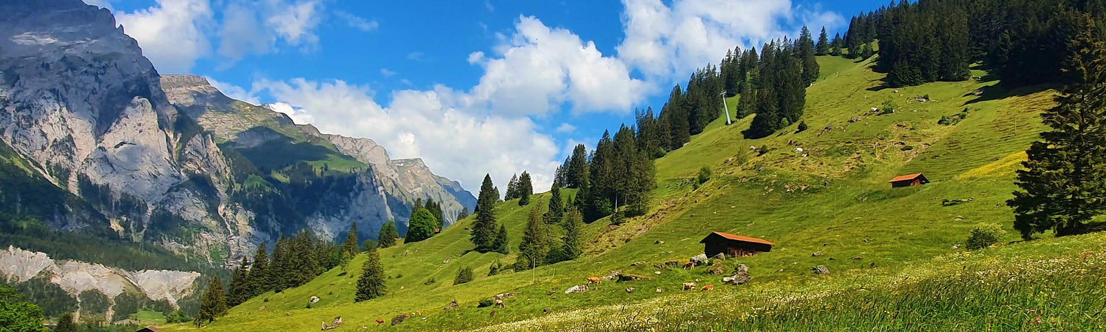 Landscape of a mountain with green grass, some homes, trees and a blue sky with clouds.