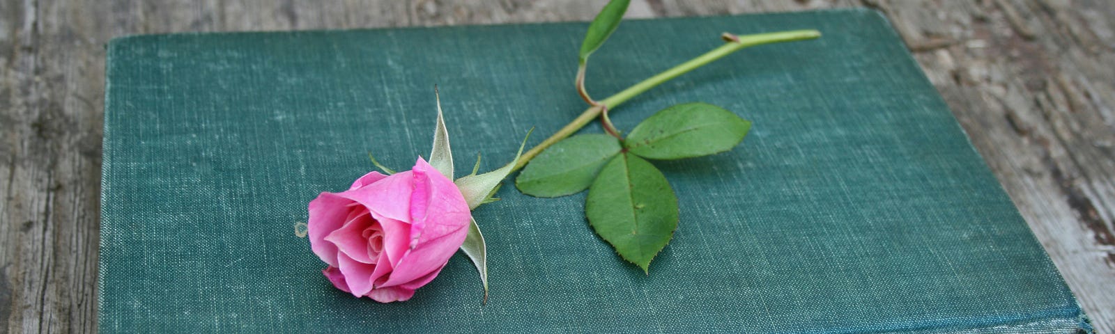 Green, hardback book with a pink rose lying on top