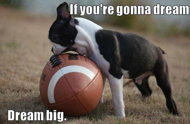 A dream big if you’re going to dream meme with a dog biting into a large ball