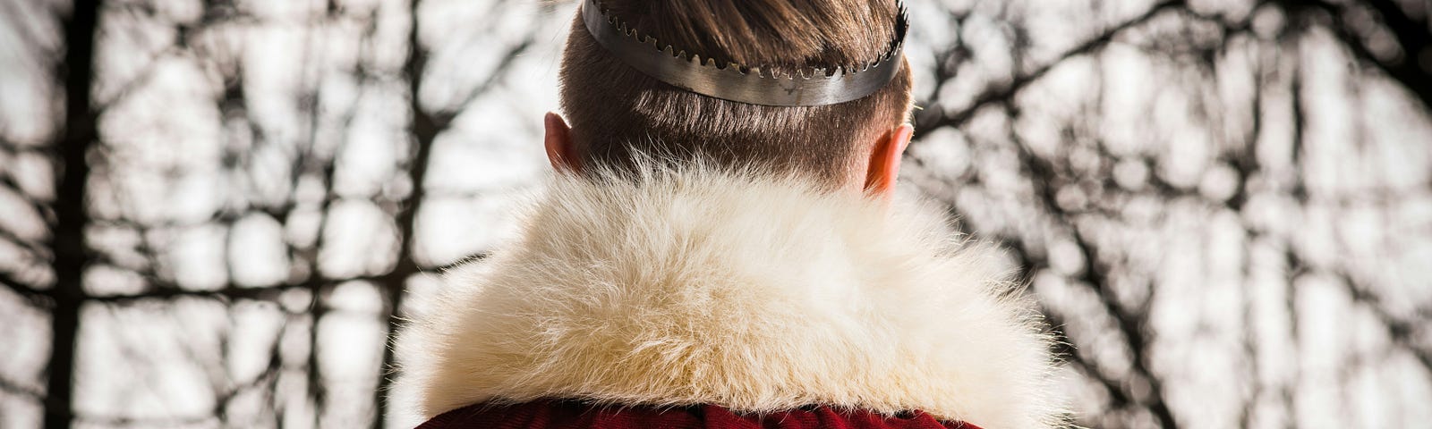 A young, blond man stares into the background. We cannot see his face, but we can see he wears a small crown, and a red cloak with white fur collar. The trees he is looking toward are bare.