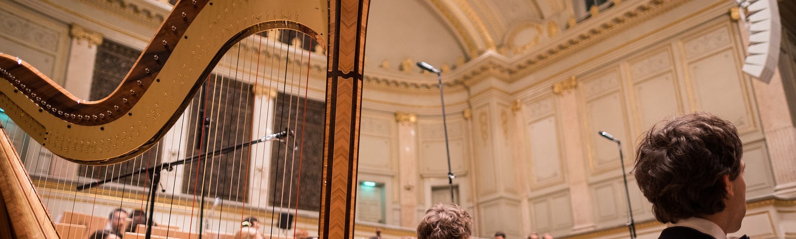 A photo of an orchestra in a concert hall. The harp is the main focus of the photo, with the back of the string section seen to the right of the harp.