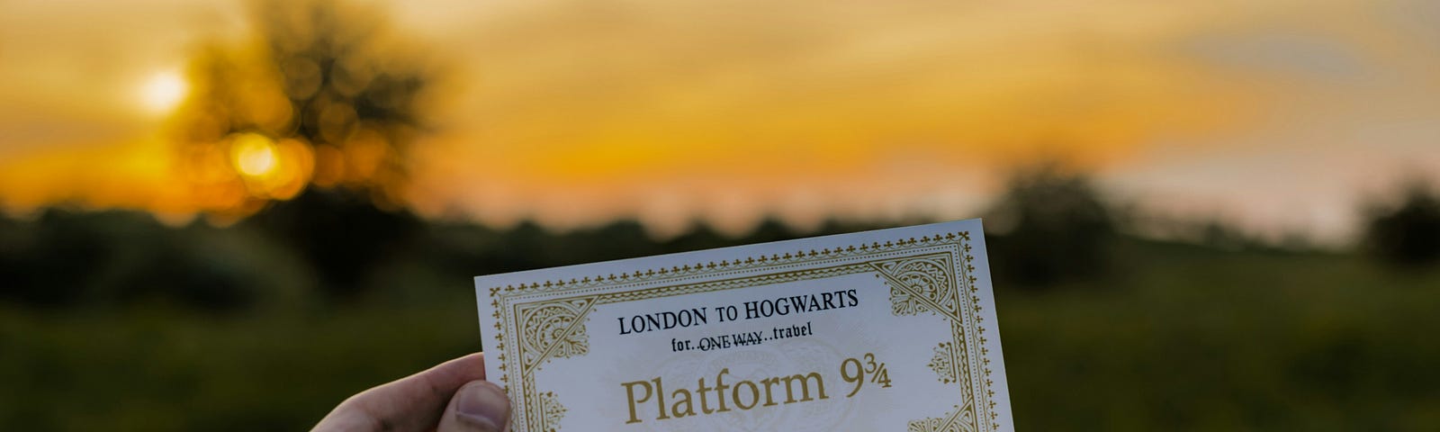 Person holding a one way ticket from London to Hogwarts.