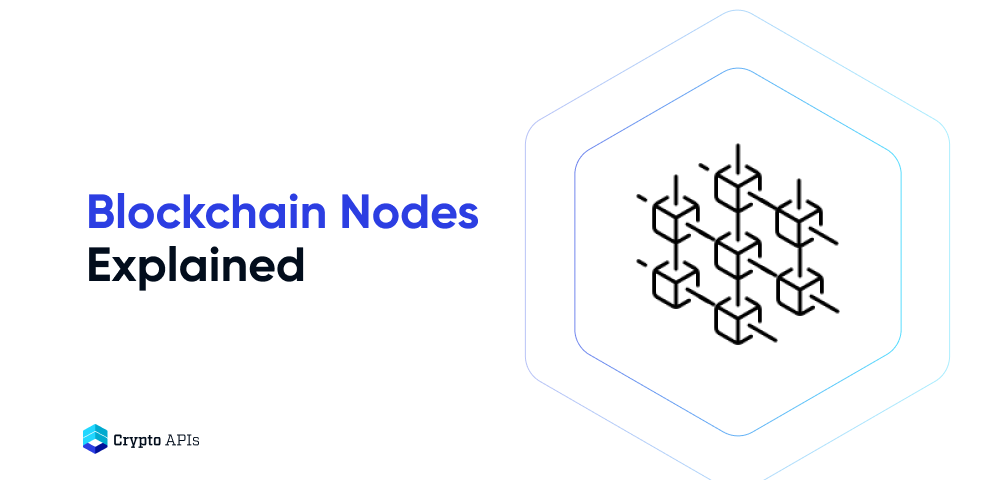 Blockchain Nodes Explained