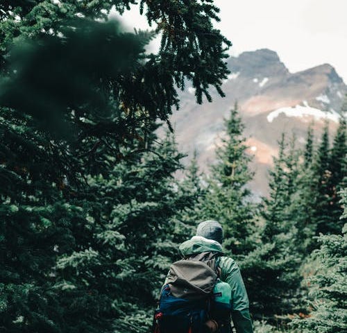 Backpacker with green backpack walking among evergreens, just below the timberline.