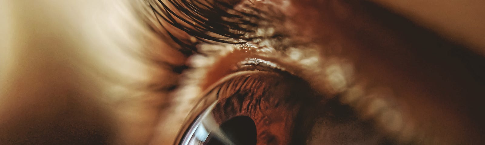 Close up of a brown eye. Many soft contact lenses contain compounds associated with health problems, including autoimmune disorders, fertility problems, cancer, liver problems, and kidney disease. This article explores whether there is a connection between contact lenses and cancer.