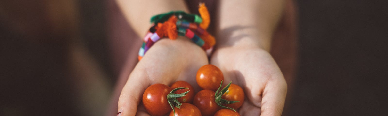 Hands with bright coloured bracelets on one wrist, holding out a handful of fresh cherry tomatoes.