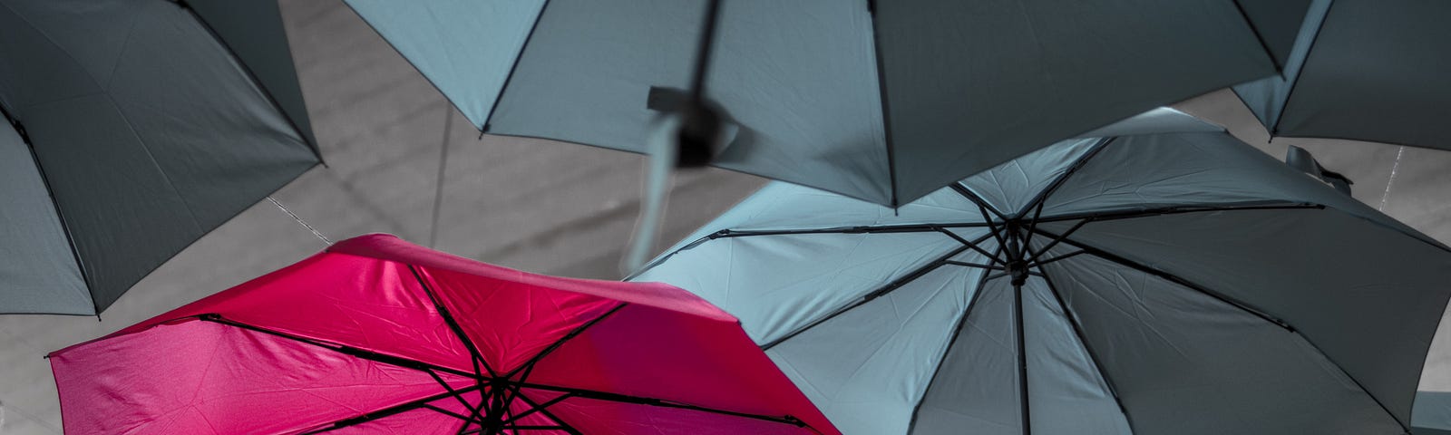 A pink umbrella in a sea of grey ones