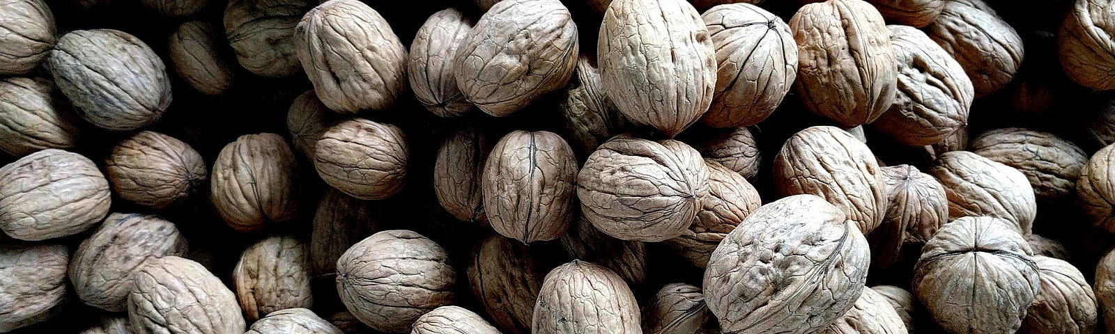 A pile of unshelled walnuts.