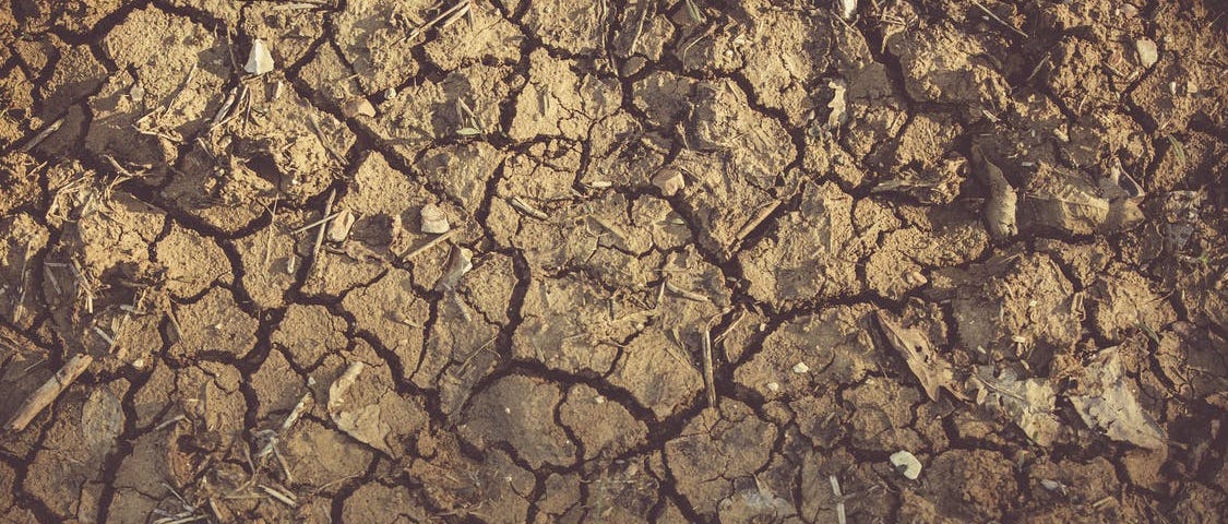 uma foto de uma terra seca e craquelada