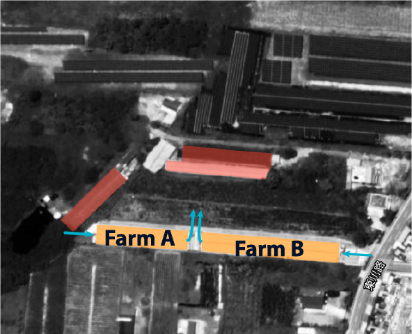Aerial view of Mr. Wang’s two broiler farms (Farm A and Farm B) in Taiwan